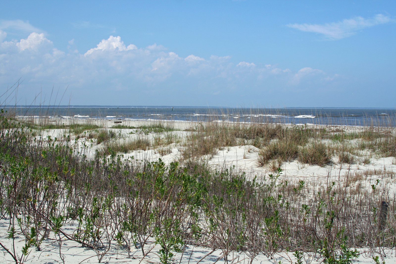 Lighthouse Point Tybee